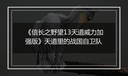 《信长之野望13天道威力加强版》天道里的战国自卫队