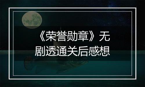 《荣誉勋章》无剧透通关后感想