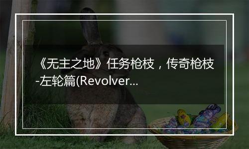《无主之地》任务枪枝，传奇枪枝-左轮篇(Revolver)