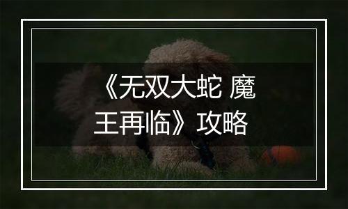 《无双大蛇 魔王再临》攻略