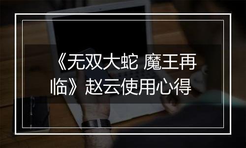 《无双大蛇 魔王再临》赵云使用心得