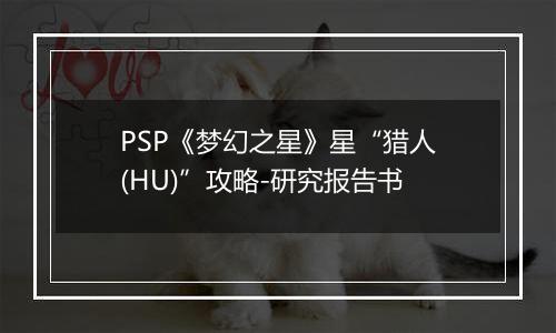 PSP《梦幻之星》星“猎人(HU)”攻略-研究报告书