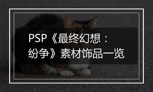 PSP《最终幻想：纷争》素材饰品一览