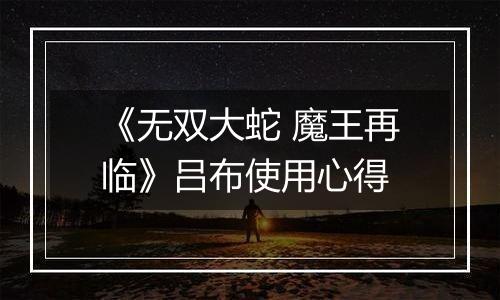 《无双大蛇 魔王再临》吕布使用心得