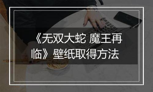 《无双大蛇 魔王再临》壁纸取得方法