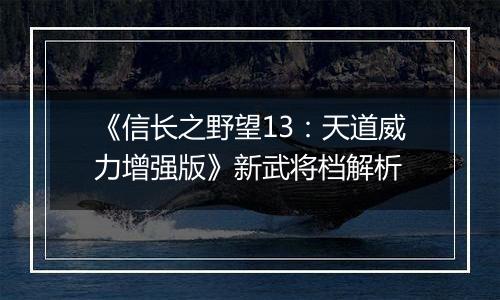 《信长之野望13：天道威力增强版》新武将档解析