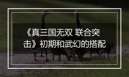 《真三国无双 联合突击》初期和武幻的搭配