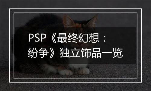 PSP《最终幻想：纷争》独立饰品一览