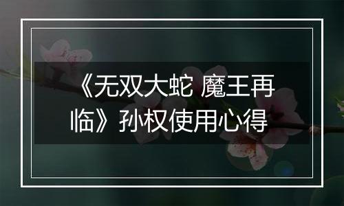 《无双大蛇 魔王再临》孙权使用心得