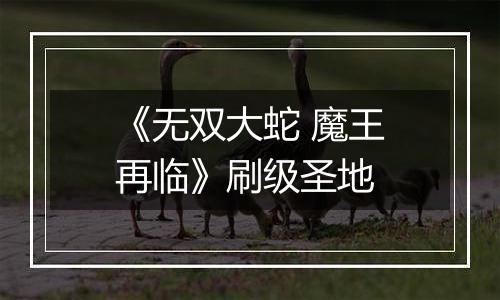 《无双大蛇 魔王再临》刷级圣地