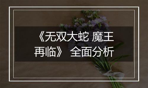 《无双大蛇 魔王再临》 全面分析