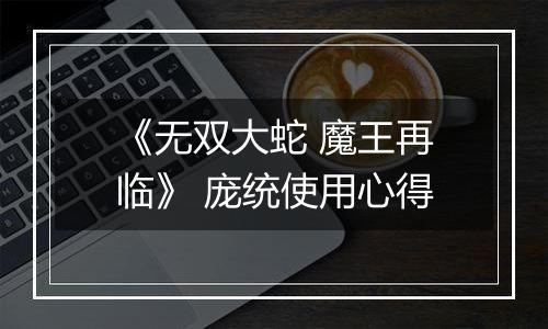 《无双大蛇 魔王再临》 庞统使用心得