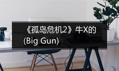 《孤岛危机2》牛X的(Big Gun)