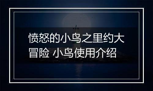 愤怒的小鸟之里约大冒险 小鸟使用介绍
