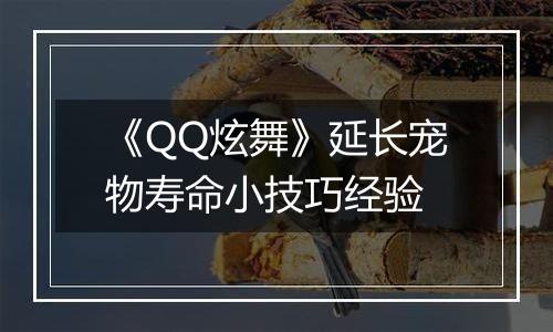 《QQ炫舞》延长宠物寿命小技巧经验
