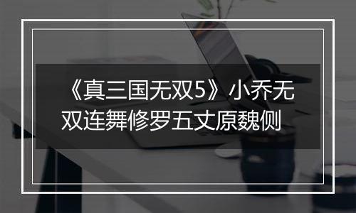 《真三国无双5》小乔无双连舞修罗五丈原魏侧