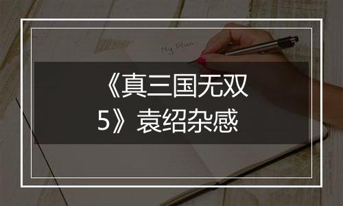 《真三国无双5》袁绍杂感