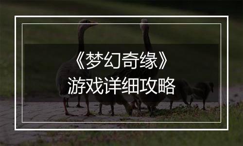 《梦幻奇缘》游戏详细攻略