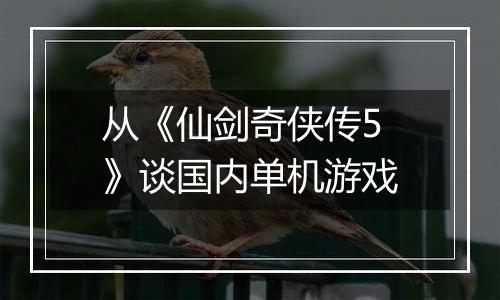 从《仙剑奇侠传5》谈国内单机游戏