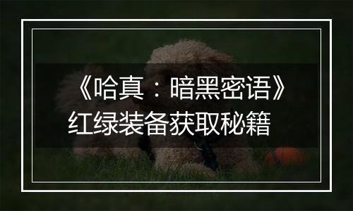 《哈真：暗黑密语》红绿装备获取秘籍