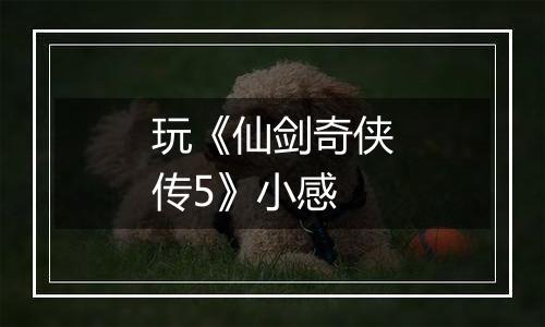 玩《仙剑奇侠传5》小感
