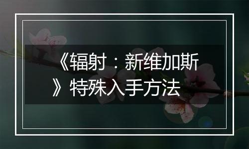 《辐射：新维加斯》特殊入手方法