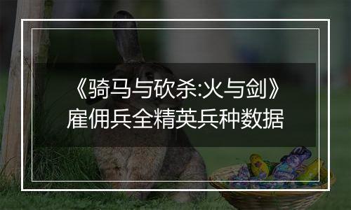 《骑马与砍杀:火与剑》雇佣兵全精英兵种数据