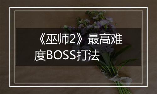 《巫师2》最高难度BOSS打法