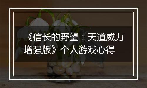 《信长的野望：天道威力增强版》个人游戏心得