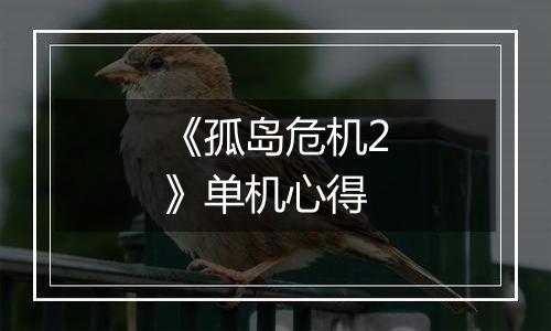 《孤岛危机2》单机心得