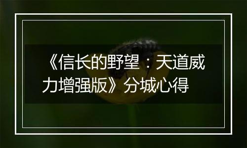 《信长的野望：天道威力增强版》分城心得