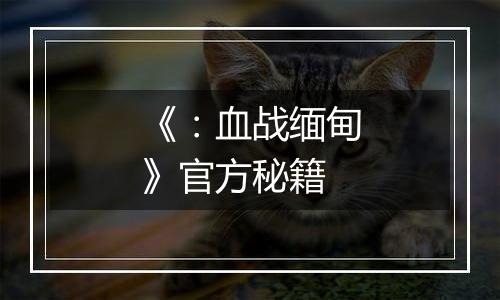 《：血战缅甸》官方秘籍