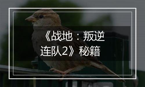 《战地：叛逆连队2》秘籍