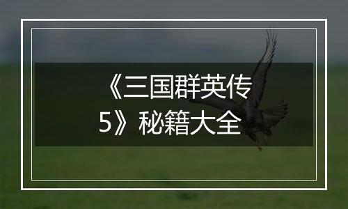 《三国群英传5》秘籍大全