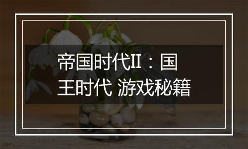 帝国时代II：国王时代 游戏秘籍