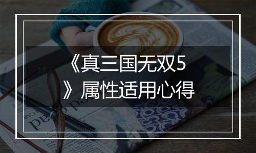 《真三国无双5》属性适用心得