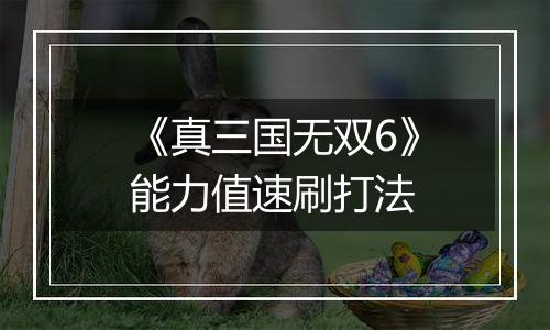 《真三国无双6》能力值速刷打法