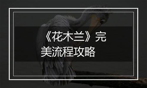 《花木兰》完美流程攻略