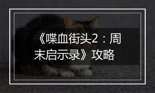 《喋血街头2：周末启示录》攻略