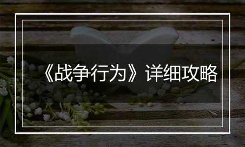 《战争行为》详细攻略