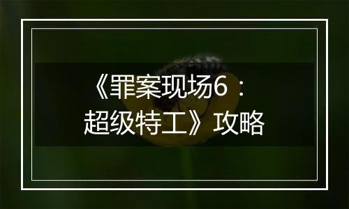 《罪案现场6：超级特工》攻略