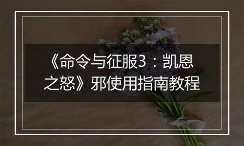 《命令与征服3：凯恩之怒》邪使用指南教程