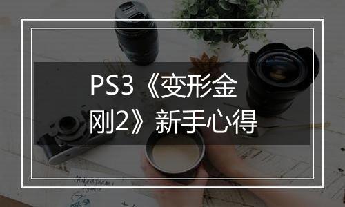 PS3《变形金刚2》新手心得