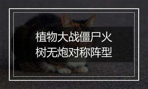 植物大战僵尸火树无炮对称阵型