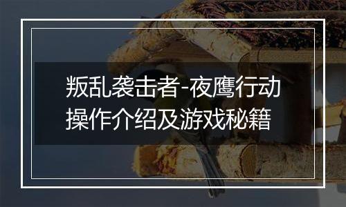 叛乱袭击者-夜鹰行动操作介绍及游戏秘籍