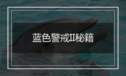 蓝色警戒II秘籍