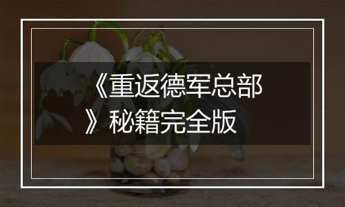 《重返德军总部》秘籍完全版