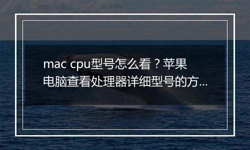 mac cpu型号怎么看？苹果电脑查看处理器详细型号的方法