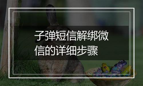 子弹短信解绑微信的详细步骤