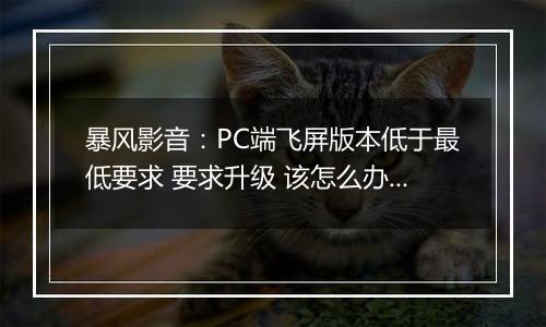 暴风影音：PC端飞屏版本低于最低要求 要求升级 该怎么办？